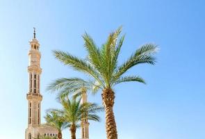 moskee en groene palmbomen foto