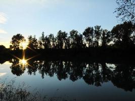 bomen langs de rivier- foto