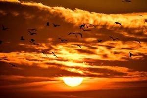 kleurrijk lucht Bij zonsondergang foto