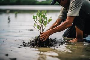 herstellen de kustlijn gemeenschap verloving in aanplant mangroven voor milieu behoud en leefgebied restauratie Aan aarde dag, bevorderen duurzaamheid. aarde dag foto