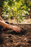 aanplant bomen voor een duurzame toekomst. gemeenschap tuin en milieu behoud - bevorderen leefgebied restauratie en gemeenschap verloving Aan aarde dag foto