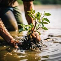 herstellen de kustlijn gemeenschap verloving in aanplant mangroven voor milieu behoud en leefgebied restauratie Aan aarde dag, bevorderen duurzaamheid. aarde dag foto