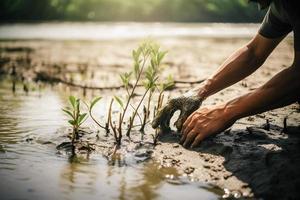 herstellen de kustlijn gemeenschap verloving in aanplant mangroven voor milieu behoud en leefgebied restauratie Aan aarde dag, bevorderen duurzaamheid. aarde dag foto