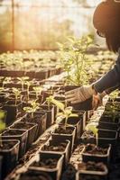 aanplant bomen voor een duurzame toekomst. gemeenschap tuin en milieu behoud - bevorderen leefgebied restauratie en gemeenschap verloving Aan aarde dag foto