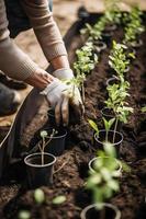 aanplant bomen voor een duurzame toekomst. gemeenschap tuin en milieu behoud - bevorderen leefgebied restauratie en gemeenschap verloving Aan aarde dag foto