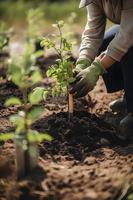 aanplant bomen voor een duurzame toekomst. gemeenschap tuin en milieu behoud - bevorderen leefgebied restauratie en gemeenschap verloving Aan aarde dag foto