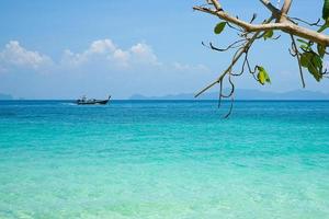 de Afdeling van boom Aan de strand met lang staart boot in beweging in de zee en blauw lucht in achtergrond foto