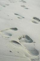 detailopname voetafdrukken in de zand foto