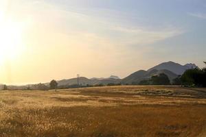 open droog veld bij zonsondergang in de vallei van Californië foto