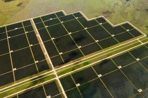 luchtfoto van zonnepanelen foto