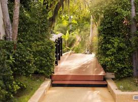 houten brug in een groen park met zonnestralen foto