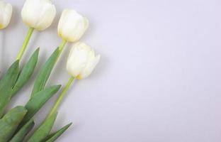 elegante witte tulpen op grijze achtergrond foto