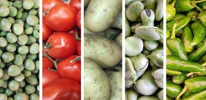 collage van kleurrijke groenten foto
