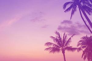 tropisch strand met zonlicht, kleurrijke roze paarse achtergrond foto