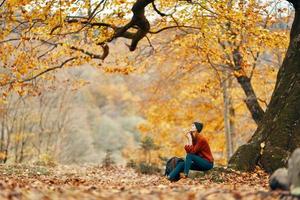 mooi vrouw in een jeans trui zit Aan de bladeren in de buurt een boom landschap herfst park Woud foto