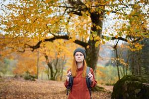 reiziger met een rugzak resting in de herfst Woud in natuur in de buurt de bomen foto