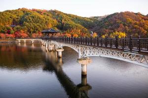 wolyeonggyo brug, houten brug Bij andong, zuiden Korea. foto