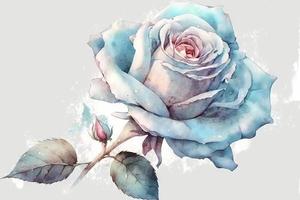 mooi licht blauw roos waterverf foto
