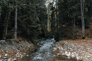 natuur bergen Woud rivier- landschap reizen foto