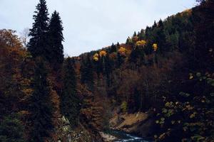 herfst Woud bergen natuur rivier- reizen landschap foto