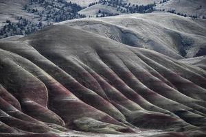 de geschilderd heuvels in speculant district, Oregon foto