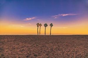 kust landschap vrede en stil zonsondergang en vier palm bomen Aan de strand foto