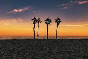 kust landschap vrede en stil zonsondergang en vier palm bomen Aan de strand foto