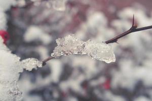 winter mooi fabriek gecoat met bevroren wit sneeuw en ijs foto