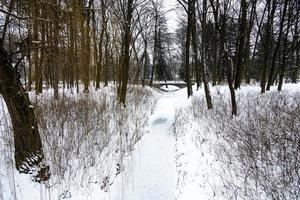 park in Warschau Polen Aan een besneeuwd winter dag met een bevroren stroom en een brug foto