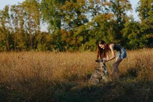 een vrouw Toneelstukken en dansen met een schor ras hond in natuur in herfst Aan een gras veld, opleiding en opleiding een jong hond foto