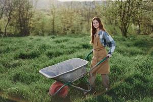 een gelukkig vrouw met een kar werken in haar land huis in de platteland tegen een backdrop van groen gras en zonsondergang zon foto