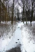 park in Warschau Polen Aan een besneeuwd winter dag met een bevroren stroom en een brug foto