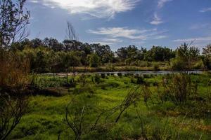 Spaans landschap door de gallego rivier- in aragon Aan een warm zomer zon dag met groen bomen en blauw luchten foto