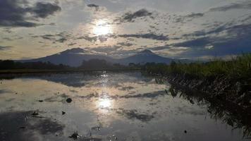 de zon stijgt in de velden foto