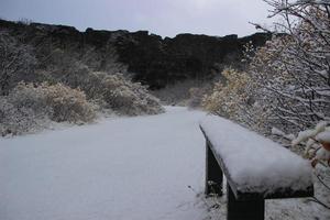 asbyrgi skogur weg met een klein besneeuwd bank, binnen de asbyrgi Ravijn. foto