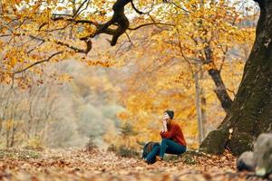 vrouw in de park landschap vallend bladeren reizen natuur herfst model- rugzak foto
