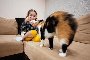 weinig meisje voeden de kat met yoghurt van een lepel Bij huis. foto