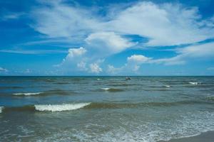 zeegezicht in de zonnige dag met de dode grote boom in de zee foto