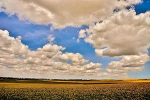 toneel- landelijk landschap foto