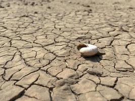 gebroken gedroogde modder van een droog probleem foto