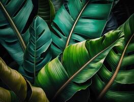 abstract groen tropisch banaan en monstera bladeren achtergrond gemaakt met generatief ai technologie foto