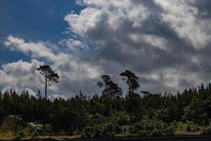 lucht met grijs wolken tegen de backdrop van groen bomen Aan een warm zomer dag foto