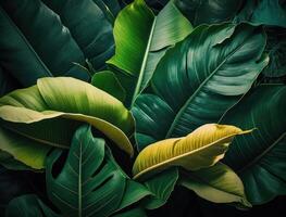 abstract groen tropisch banaan en monstera bladeren achtergrond gemaakt met generatief ai technologie foto