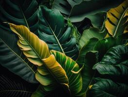 abstract groen tropisch banaan en monstera bladeren achtergrond gemaakt met generatief ai technologie foto