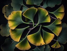 ginkgo biloba groen bladeren achtergrond gemaakt met generatief ai technologie foto