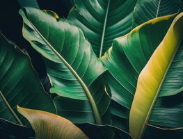 abstract groen tropisch banaan en monstera bladeren achtergrond gemaakt met generatief ai technologie foto