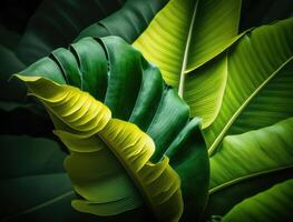 abstract groen tropisch banaan en monstera bladeren achtergrond gemaakt met generatief ai technologie foto