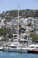 Wellington stad- jachthaven en woon- wijk foto