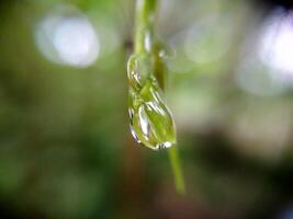 water laten vallen met wazig achtergrond foto