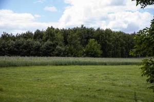 agrarisch landschap in Polen Aan een zomer dag foto